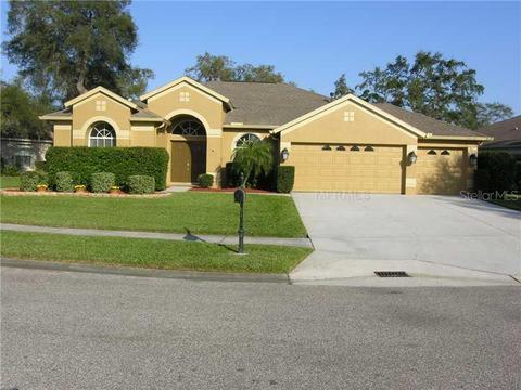 1544 Stipule Ct, Trinity, FL 34655 photo 1