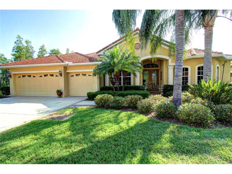 1600 El Pardo Dr, Trinity, FL 34655 photo 1