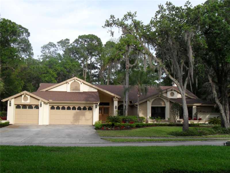 75 Deerpath Dr, Oldsmar, FL 34677 photo 1