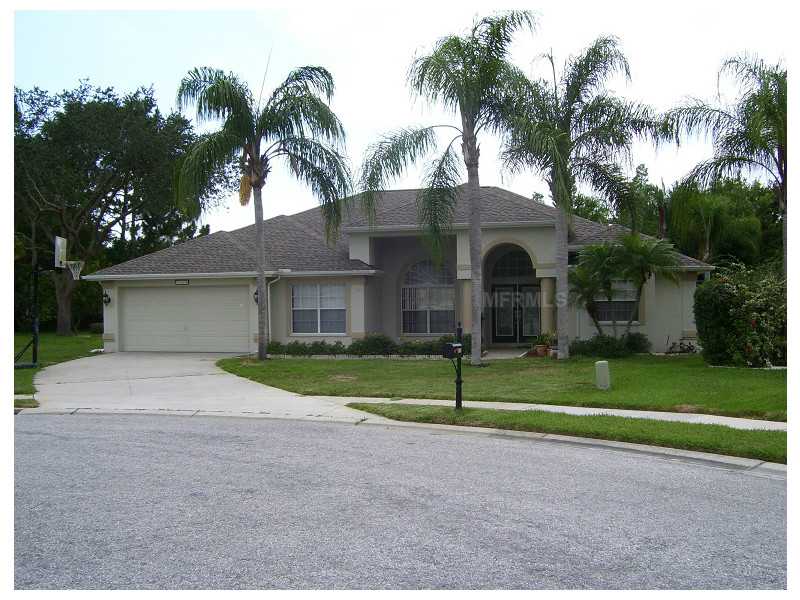 8139 Brumby Ct, Trinity, FL 34655 photo 1