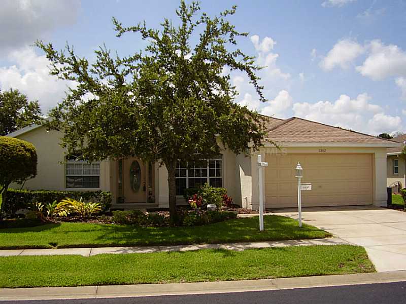 11802 Washburn Pl, Trinity, FL 34655 photo 1