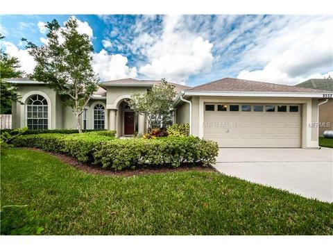 8552 Basuto, Trinity, FL 34655 photo 1