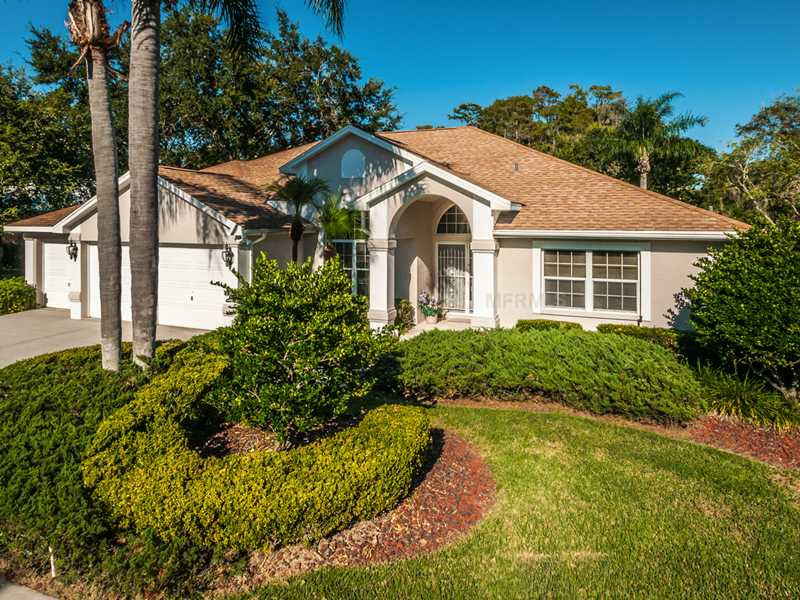 1436 Jutland Dr, Trinity, FL 34655 photo 1