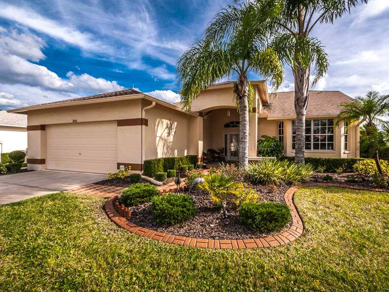 11816 Washburn Pl, Trinity, FL 34655 photo 1