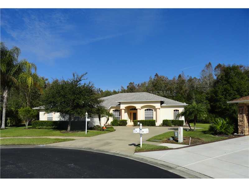 12147 Walstone Ct, Trinity, FL 34655 photo 1