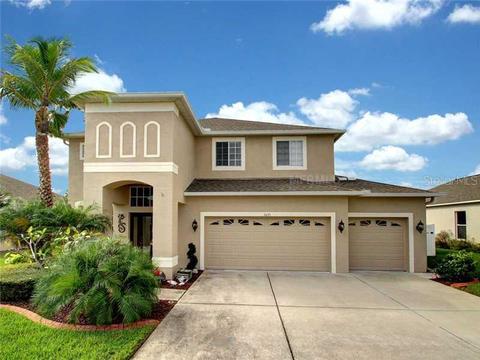 1635 Pink Guara Ct, Trinity, FL 34655 photo 1