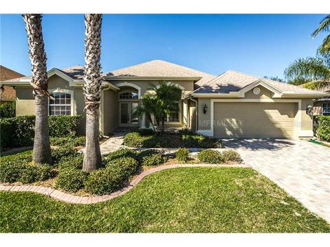 10649 Gooseberry Ct, Trinity, FL 34655 photo 1