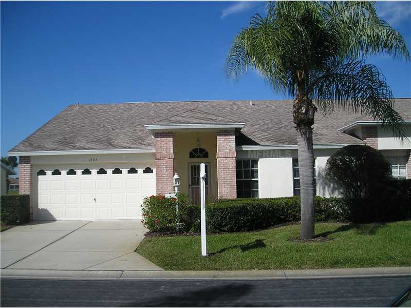 1203 Flora Vista St, Trinity, FL 34655 photo 1