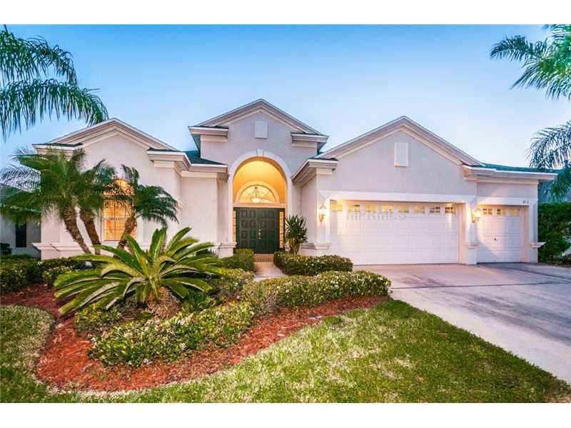 2117 Blue Beech Ct, Trinity, FL 34655 photo 1