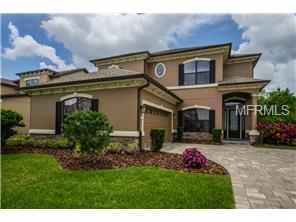 1201 Ketzal Dr, Trinity, FL 34655 photo 1