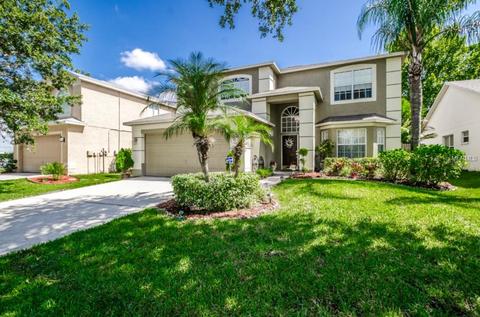 1717 Split Fork Dr, Oldsmar, FL 34677 photo 1