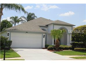 8112 Meadowview Pl, Trinity, FL 34655 photo 1