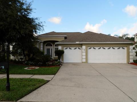 1605 Pink Guara Ct, Trinity, FL 34655 photo 1