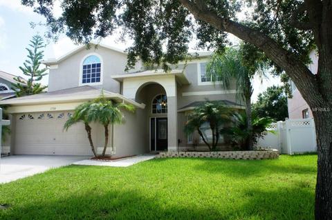 1728 Split Fork Dr, Oldsmar, FL 34677 photo 1