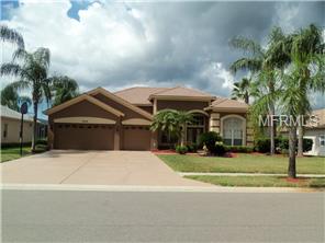 9049 Callaway Dr, Trinity, FL 34655 photo 1