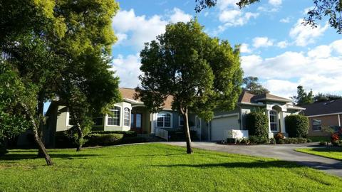 809 Robin Ave, Palm Harbor, FL 34683 photo 1