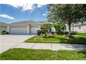 1625 Pink Guara Ct, Trinity, FL 34655 photo 1
