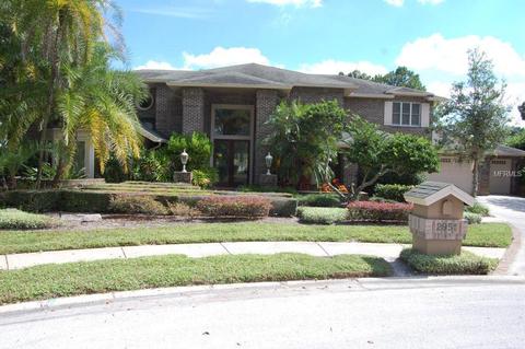 2951 Eagle Estates Cir E, Clearwater, FL 33761 photo 1