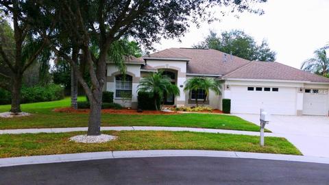9645 Greenbank Dr, Riverview, FL 33569 photo 1