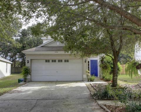 14916 Deer Meadow Dr, Lutz, FL 33559 photo 1
