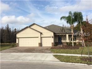 12275 Crestridge Dr, Trinity, FL 34655 photo 1