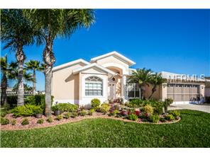 11733 Washburn Pl, Trinity, FL 34655 photo 1