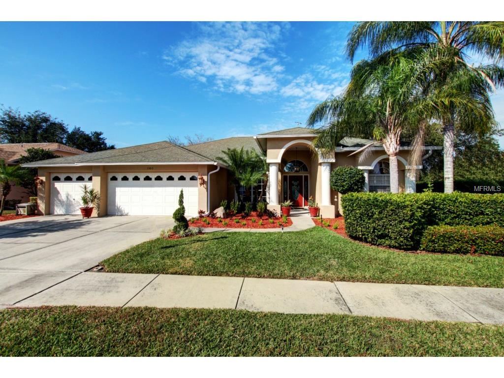 1303 Rambling Vine Ct, Trinity, FL 34655 photo 1