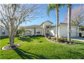 11734 Washburn Pl, Trinity, FL 34655 photo 1