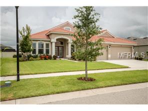 143 Star Shell Dr, Apollo Beach, FL 33572 photo 1