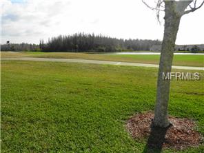 1209 Ashbourne Cir, Trinity, FL 34655 photo 1
