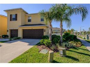 9408 Trumpet Vine Loop, Trinity, FL 34655 photo 1