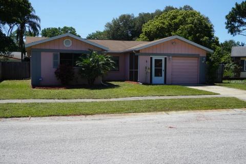 2059 Eagle Run Ct, Clearwater, FL 33760 photo 1