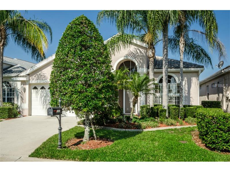 1243 Stadler Dr, Trinity, FL 34655 photo 1