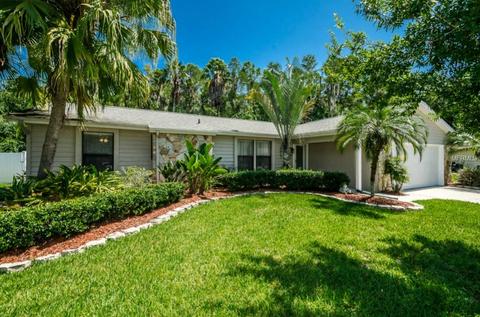 641 Satinleaf Ave, Oldsmar, FL 34677 photo 1