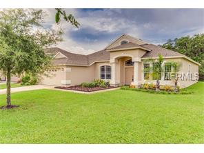 12003 52nd Ct E, Parrish, FL 34219 photo 1