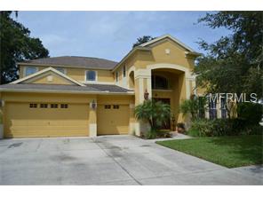 12620 River Birch Dr, Riverview, FL 33569 photo 1