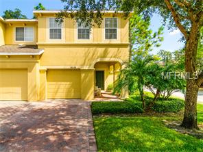 10546 Shady Falls Ct, Riverview, FL 33578 photo 1