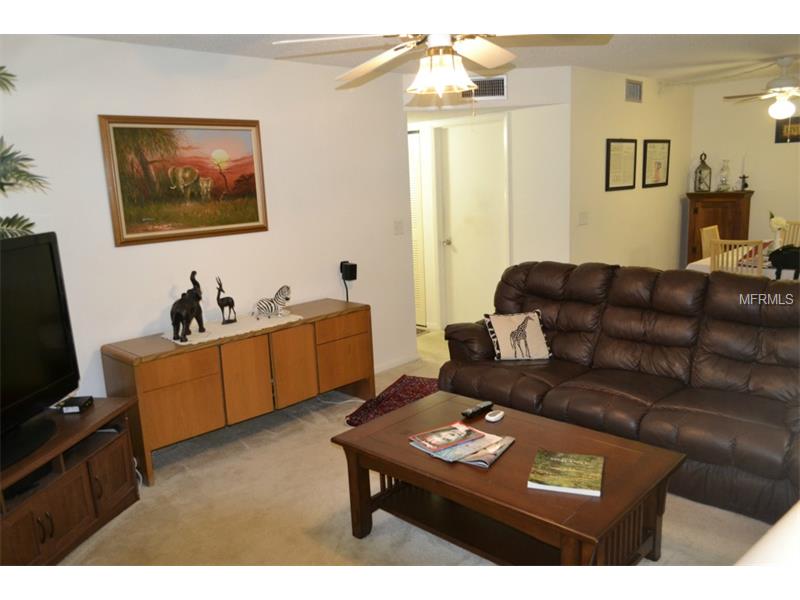 3301 Crystal Ct E #E, Palm Harbor, FL 34685 photo 1
