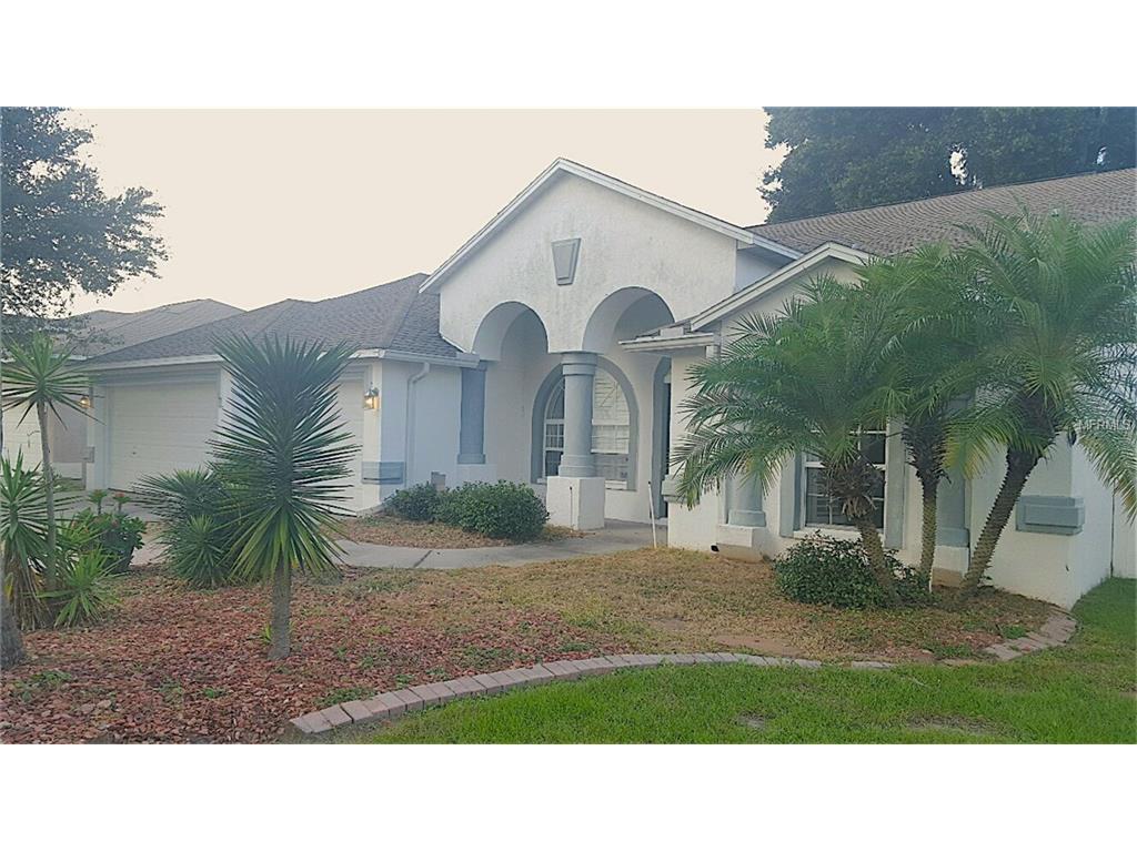 9640 Wydella St, Riverview, FL 33569 photo 1
