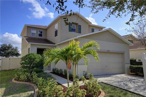 11104 Black Forest Trl, Riverview, FL 33569 photo 1