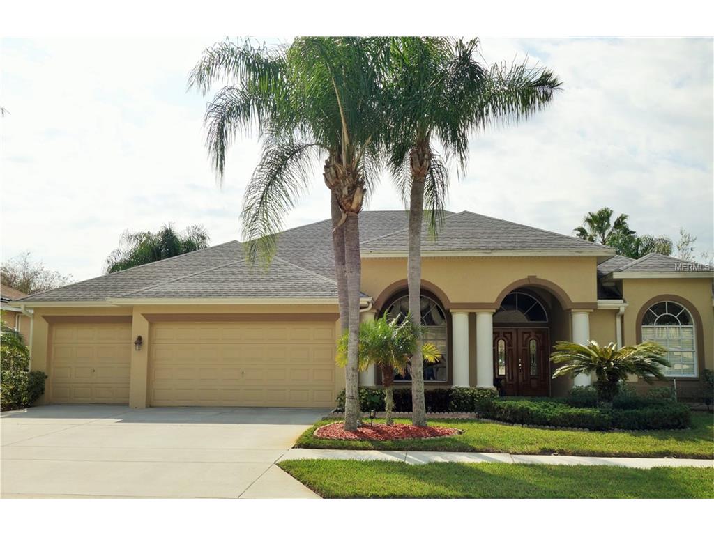8046 Maidencane Dr, Trinity, FL 34655 photo 1