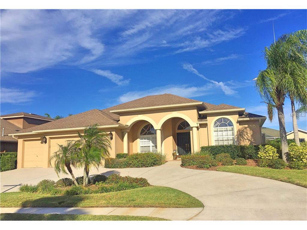 2126 Flameflower Ct, Trinity, FL 34655 photo 1