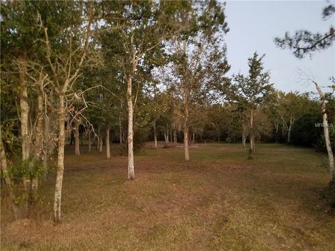 7834 Boyette Rd, Wesley Chapel, FL 33545