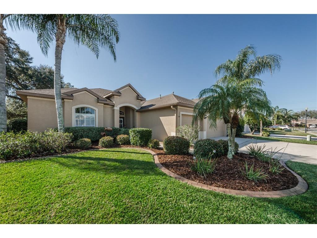 9836 Balsaridge Ct, Trinity, FL 34655 photo 1