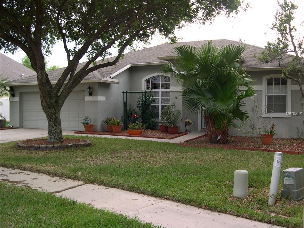 8627 Torchwood Dr, Trinity, FL 34655 photo 1