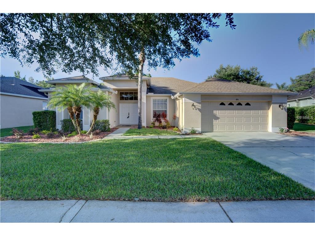 8911 Wavyedge Ct, Trinity, FL 34655 photo 1