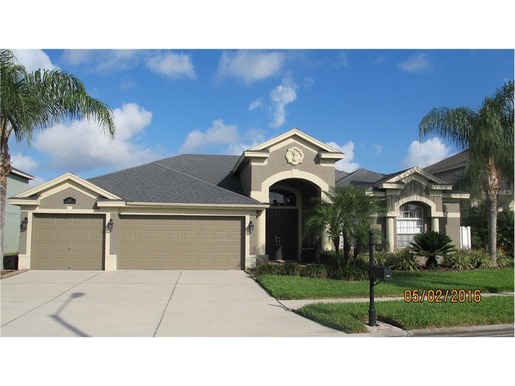 1631 Swamp Rose Ln, Trinity, FL 34655 photo 1