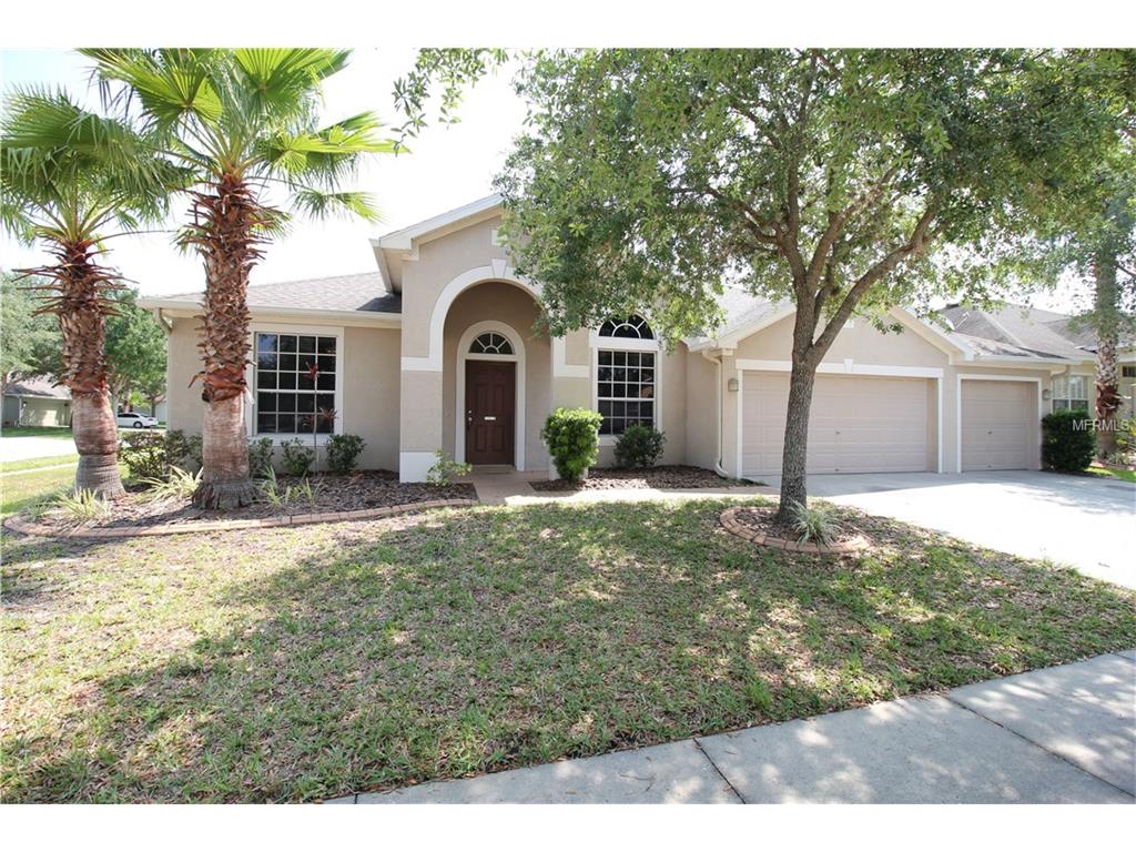 10902 Wildcat Dr, Riverview, FL 33579 photo 1