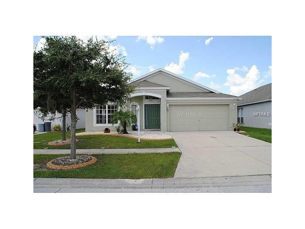 12306 Cedarfield Dr, Riverview, FL 33579 photo 1