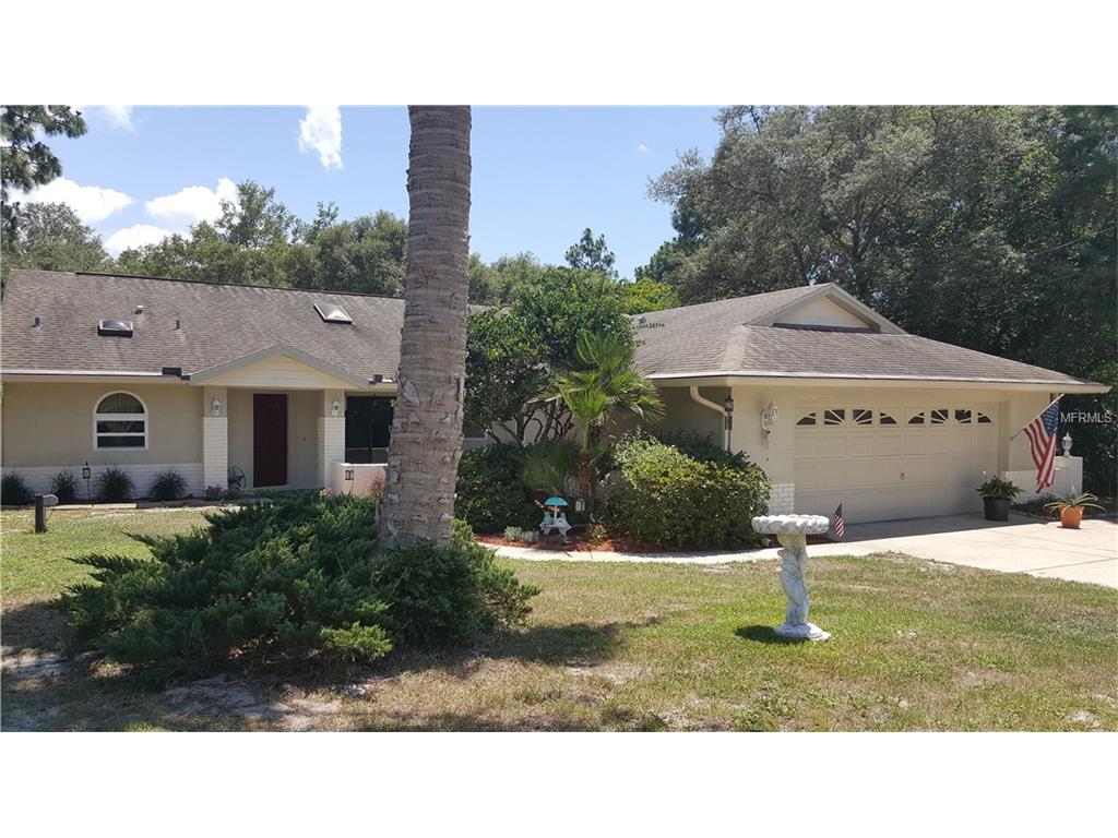 9166 Eldridge Rd, Spring Hill, FL 34608 photo 1